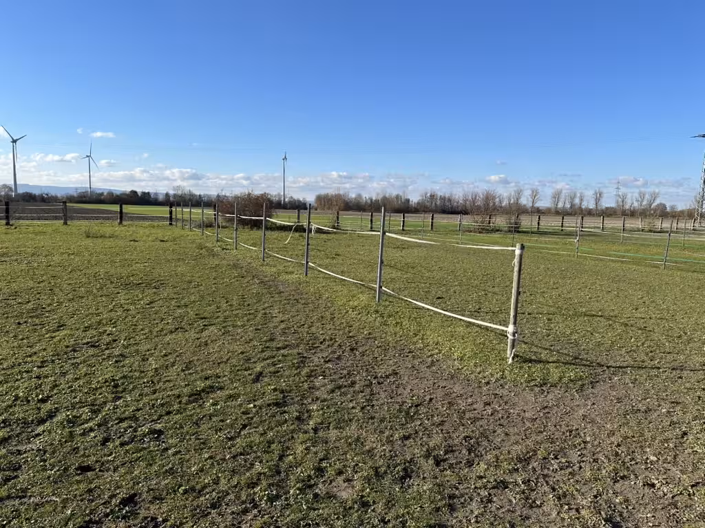 Koppeln der Reitanlage Frankenthal